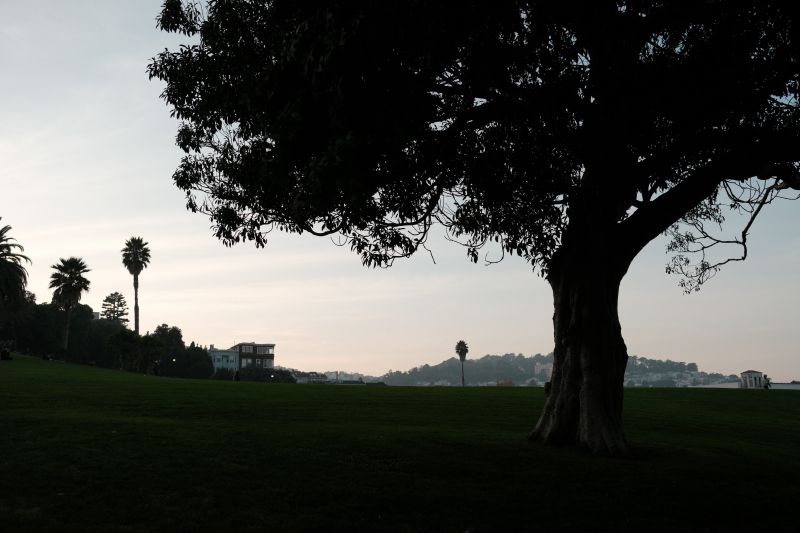 Mission Dolores Park