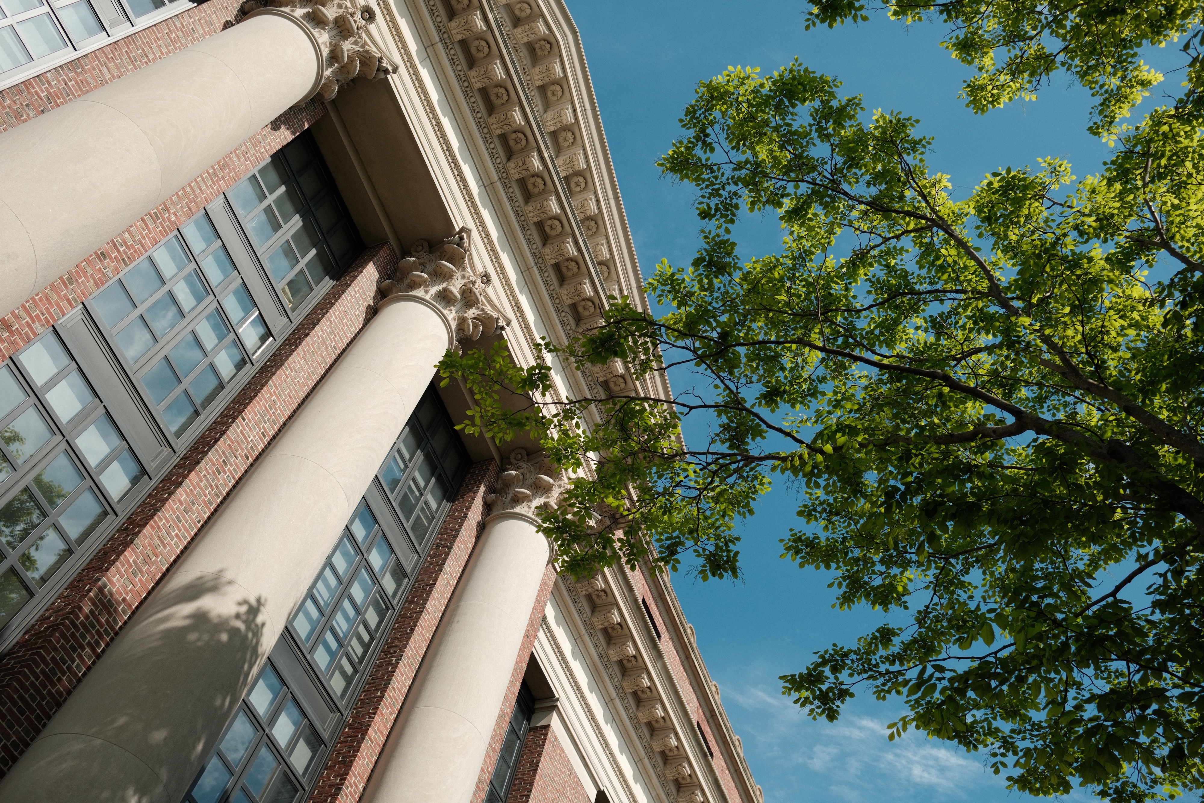 Widener Library, Harvard Yard. 08 May, 2025.